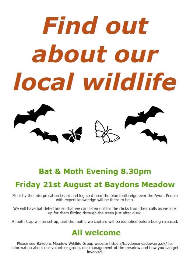 batandmoth