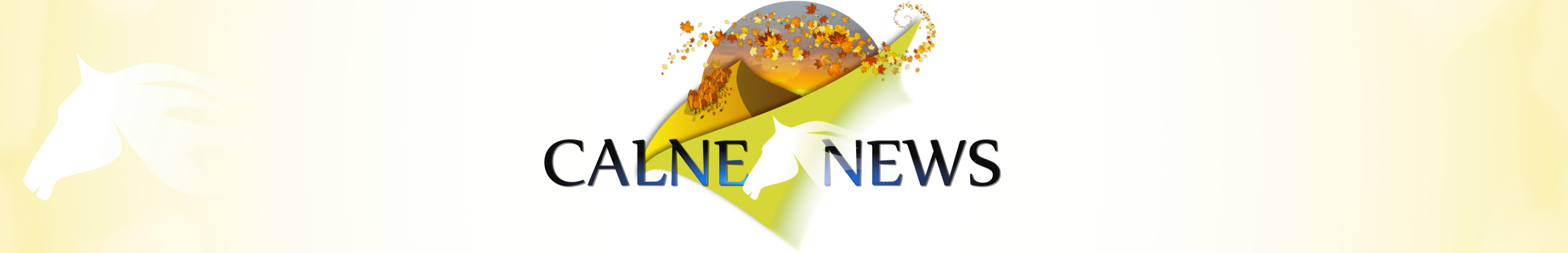 Calne News